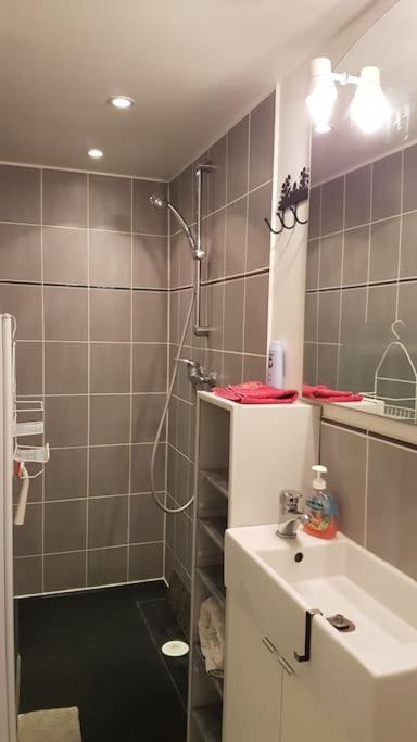 Studio, Mons Sart, Proche Lille Et Metro Buitenkant foto
